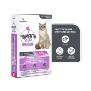 Praventa pour chats de grande taille