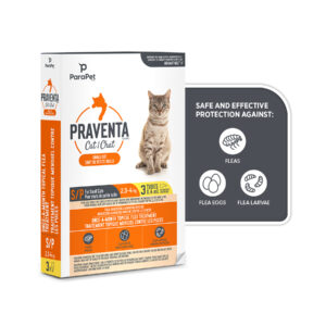 Praventa for Small Cats